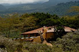 Hatari Lodge image #5