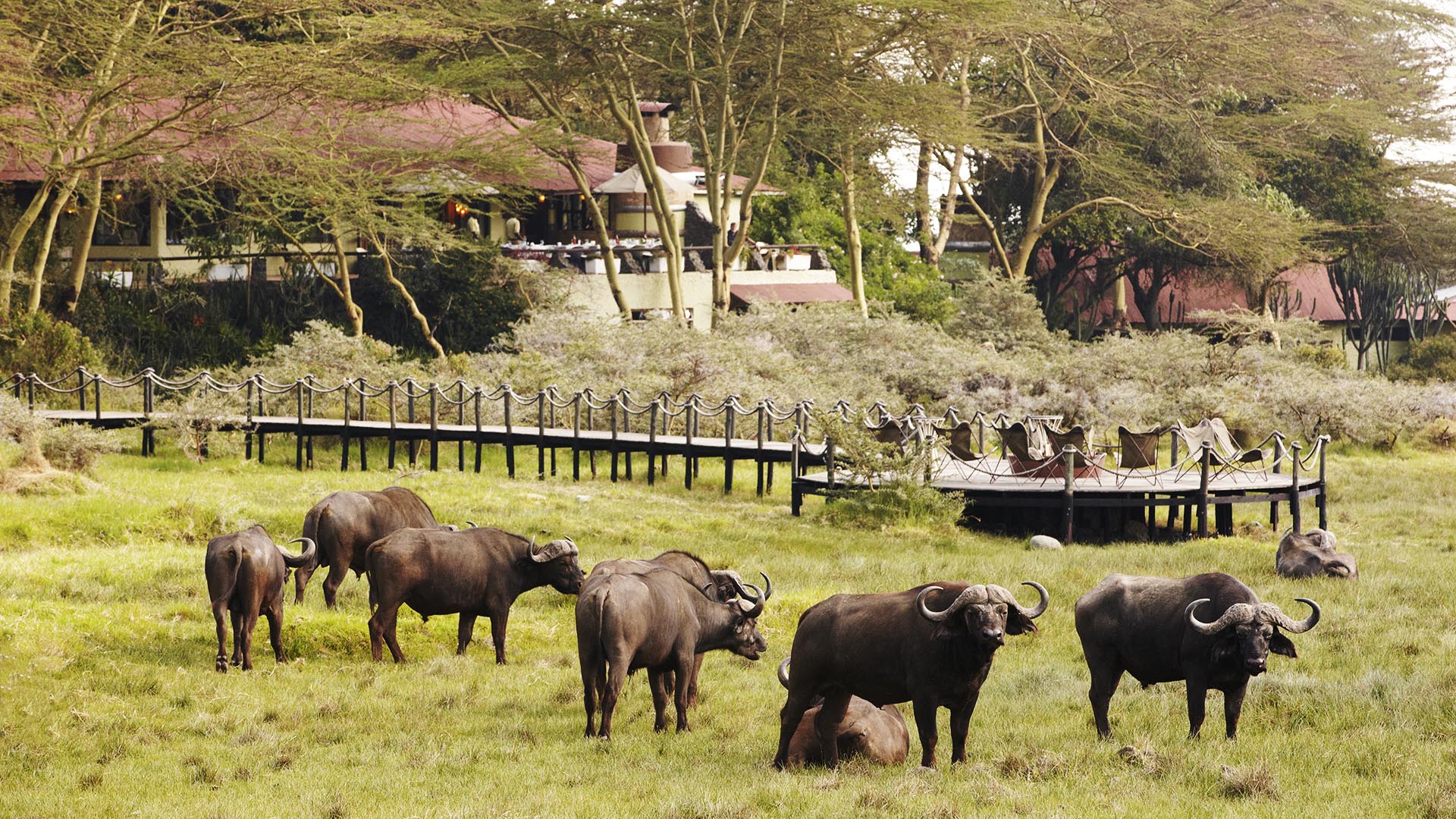 Hatari Lodge image #6