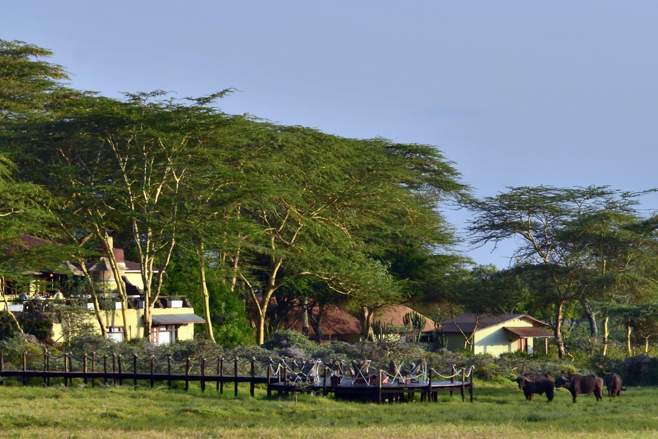 Hatari Lodge image #1