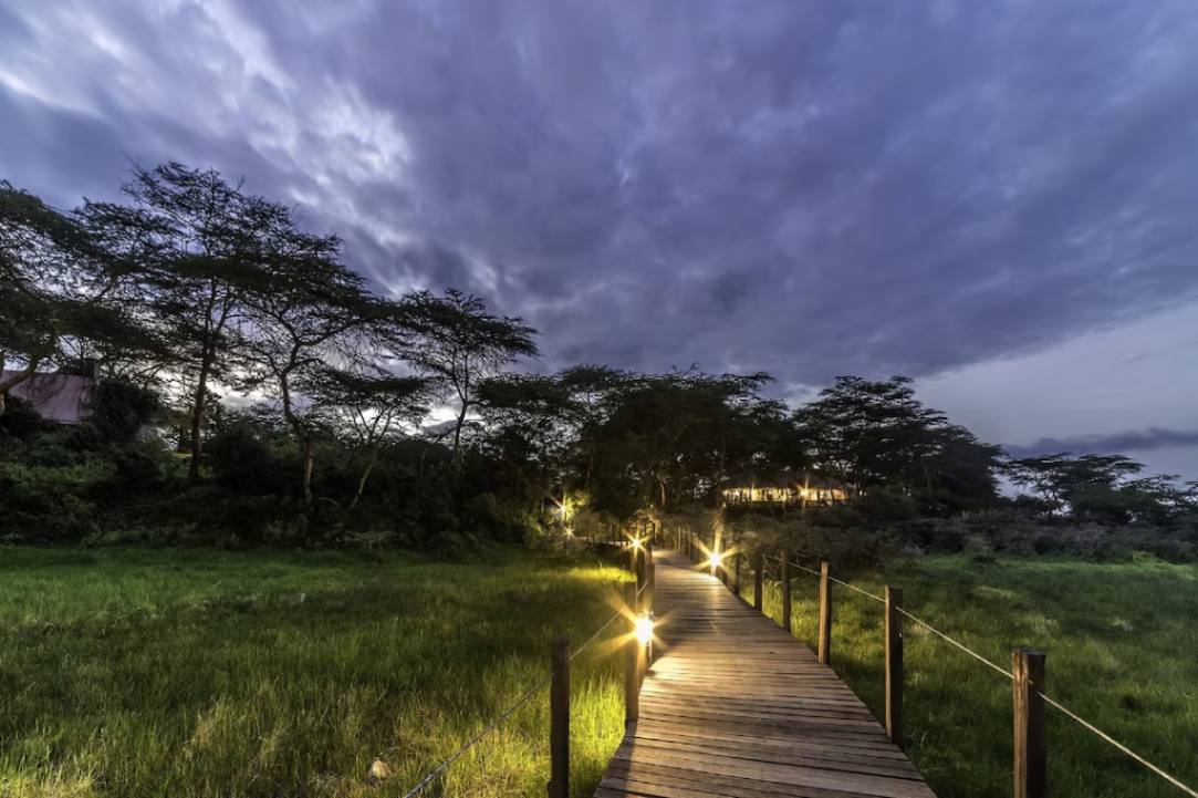 Hatari Lodge image #10