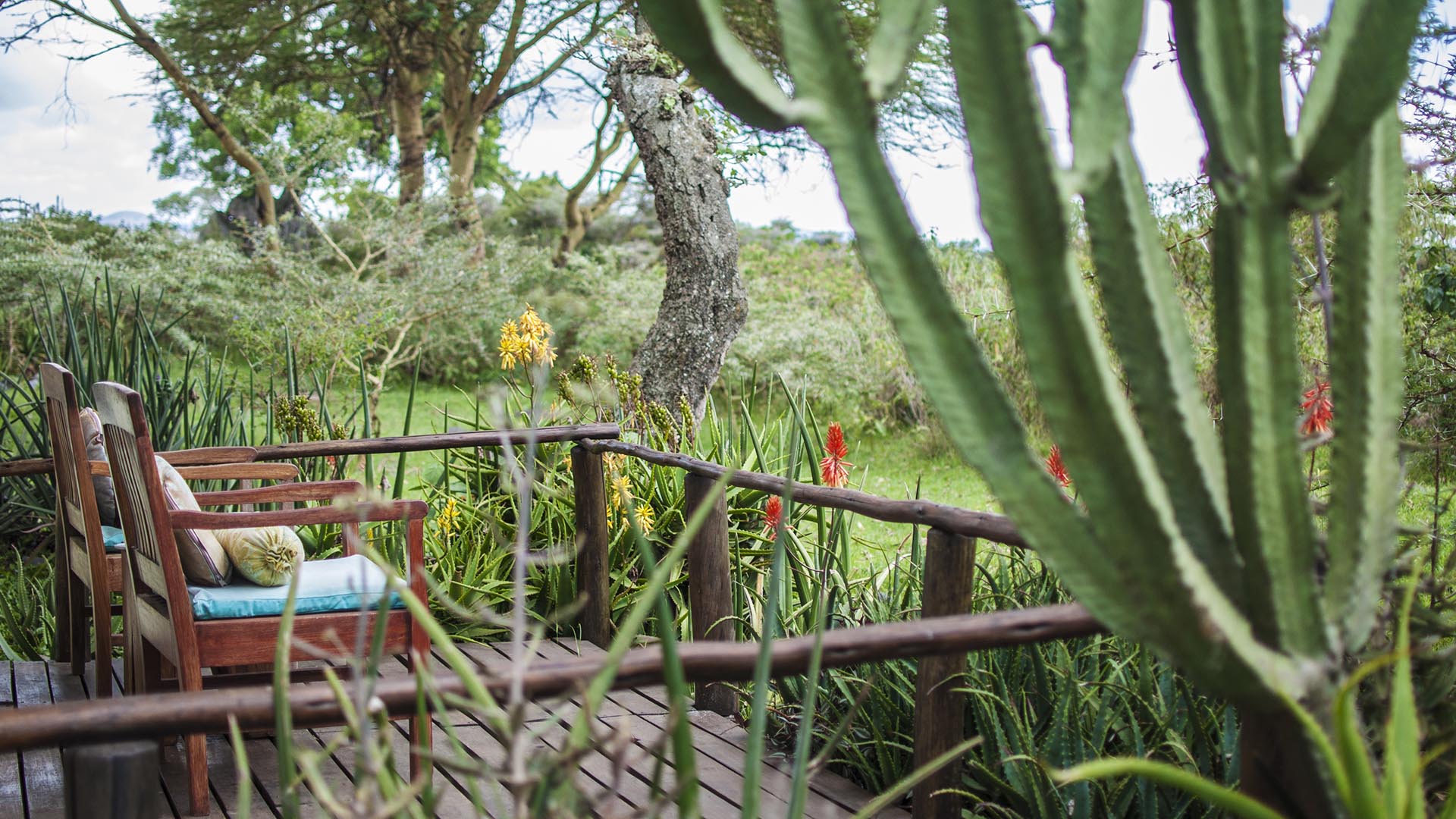 Hatari Lodge image #7