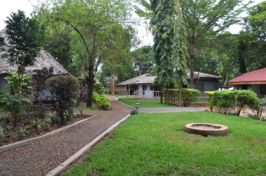 Honey Badger Lodge image #10