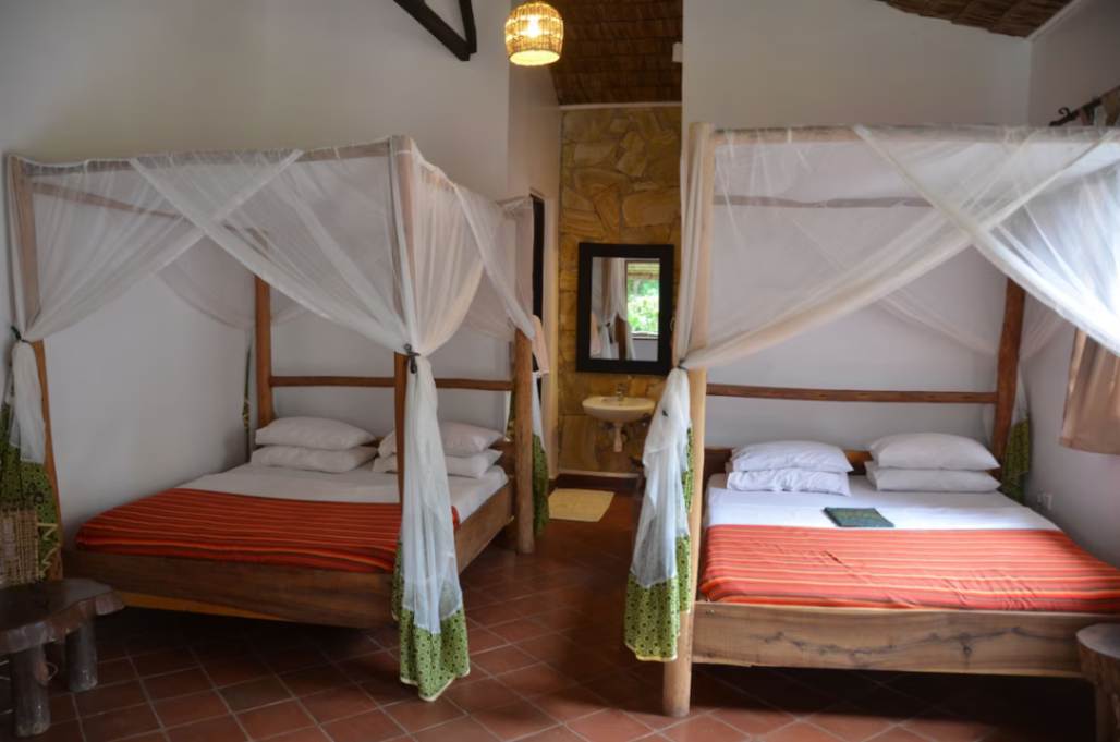 Honey Badger Lodge image #5