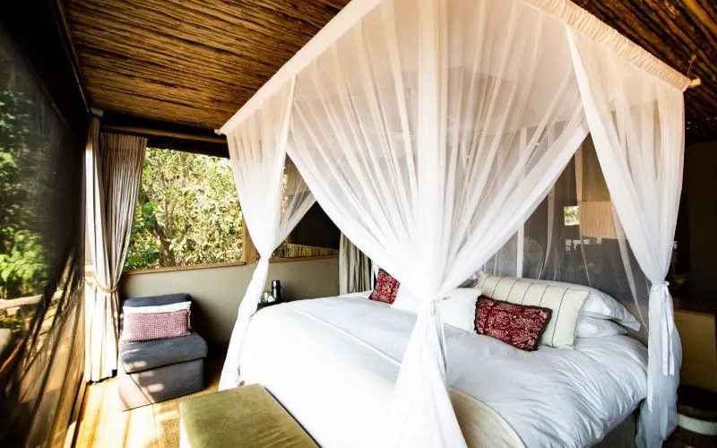 Honey Badger Lodge