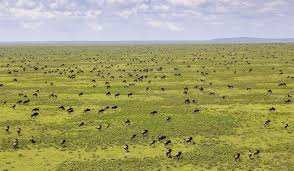Ilmisigiyo Bivouac image #5