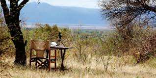 Isoitok Camp Manyara image #2