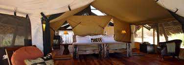 Jongomero Camp image #10