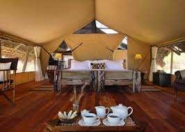 Jongomero Camp image #13