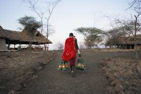 Kambi Ya Tembo image #13