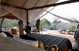 Kiba Point Camp image #16