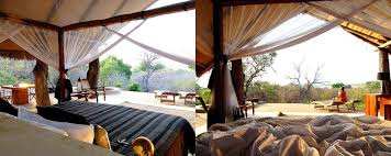 Kiba Point Camp image #8