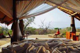 Kiba Point Camp image #17