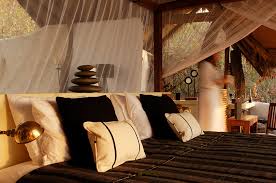 Kiba Point Camp image #2