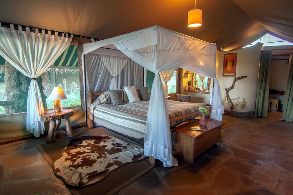 Kibo Safari Camp image #13