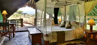 Kibo Safari Camp image #1