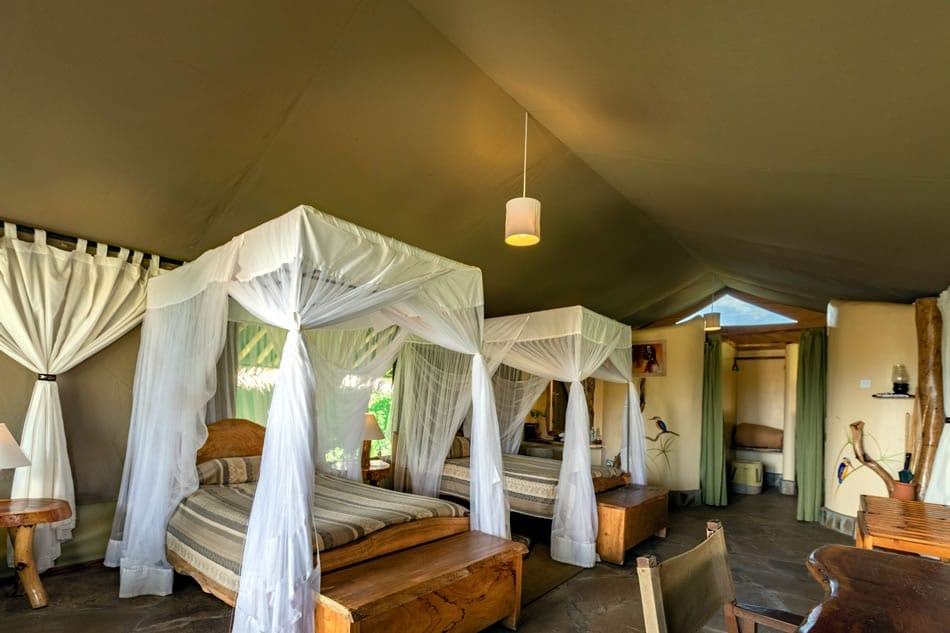 Kibo Safari Camp image #8