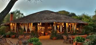 Kibo Safari Camp image #6