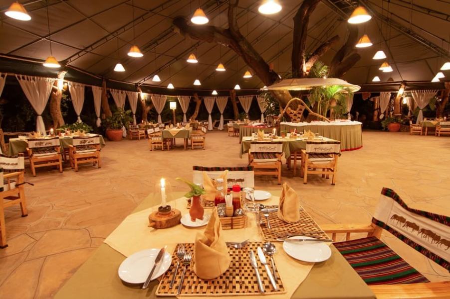 Kibo Safari Camp image #18