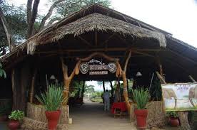 Kibo Safari Camp image #4