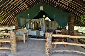 Kibo Safari Camp image #2