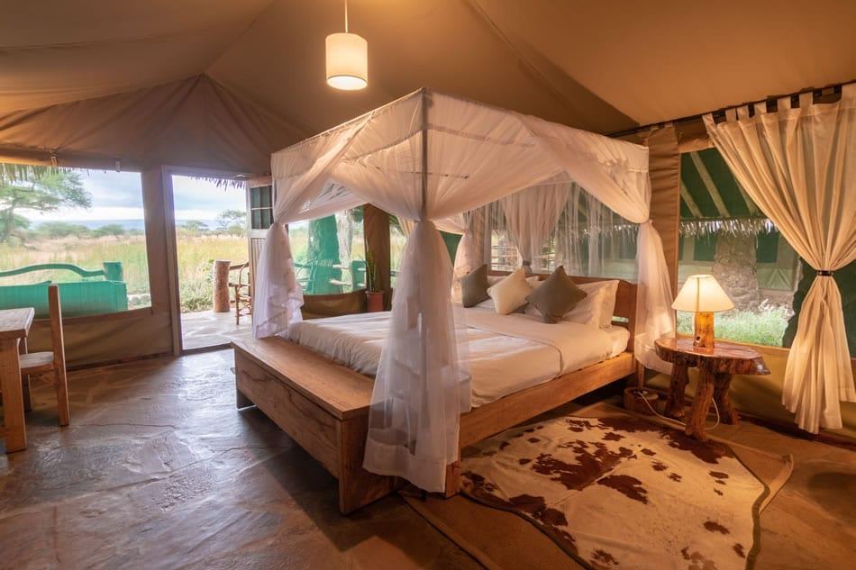 Kibo Safari Camp image #17