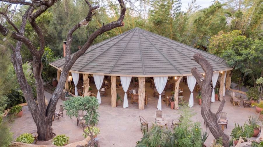 Kibo Safari Camp image #14