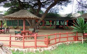 Kibo Safari Camp image #3