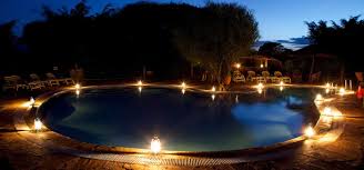 Kibo Safari Camp image #7