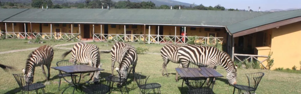 Ngorongoro Rhino Lodge