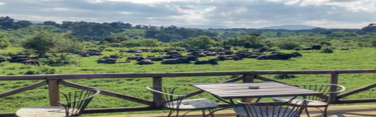 Ngorongoro Rhino Lodge