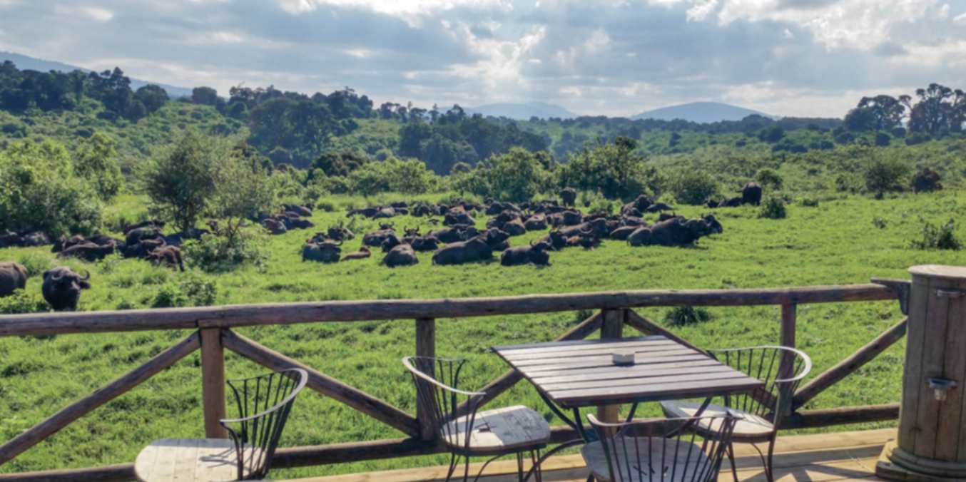 Ngorongoro Rhino Lodge image #6