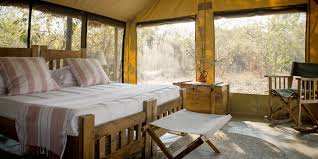 Kigelia Ruaha image #10