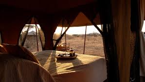 Kigelia Ruaha image #1