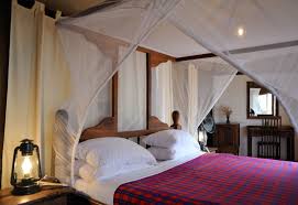 Kirurumu Manyara Lodge image #1