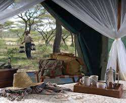 Kirurumu Manyara Lodge image #6