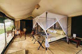 kirurumu South serenget Camp image #11