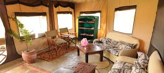 kirurumu South serenget Camp image #6