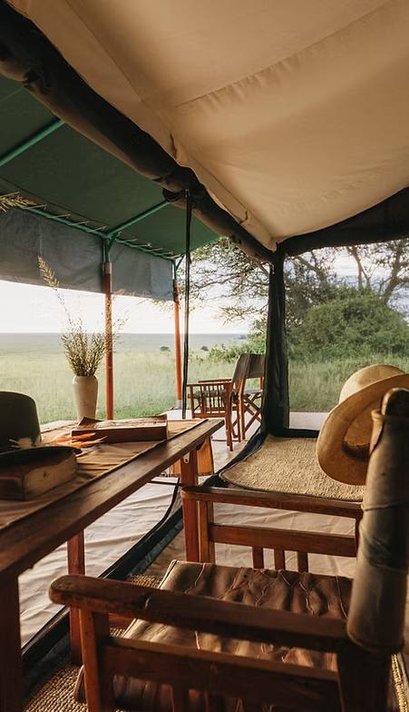 kirurumu South serenget Camp image #8