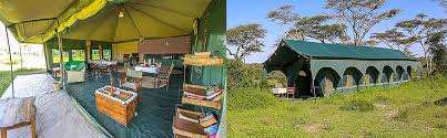 kirurumu South serenget Camp image #13