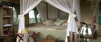 kirurumu South serenget Camp image #4