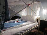 L Oasis Beach Hotel image #8
