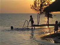 L Oasis Beach Hotel image #7