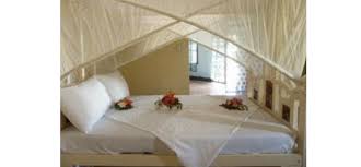 L Oasis Beach Hotel image #4