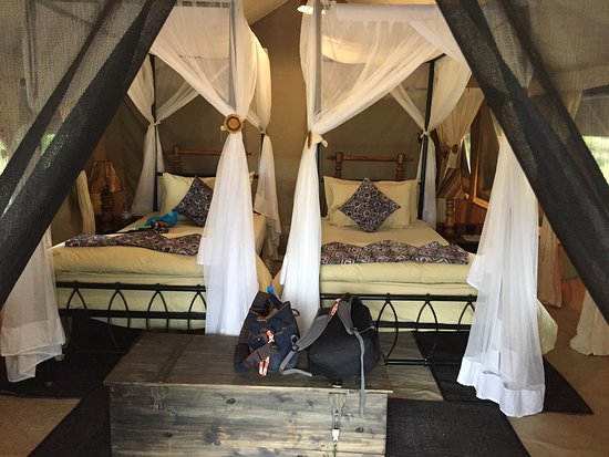 Lake Manyara Tortilis Camp image #3