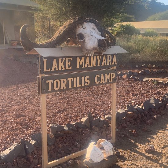 Lake Manyara Tortilis Camp image #4