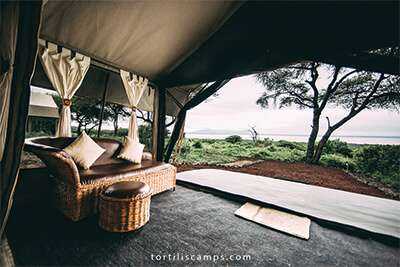Lake Manyara Tortilis Camp image #10