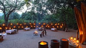 Lake Manyara Tree Lodge image #2