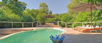 Lake Manyara Tree Lodge image #1