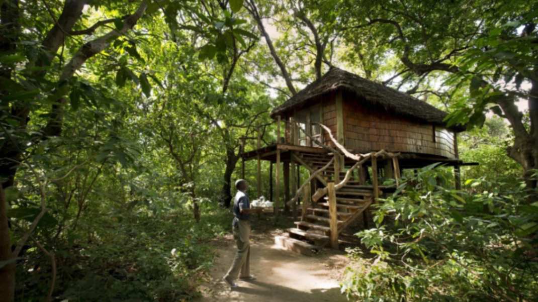 Lake Manyara Tree Lodge image #16