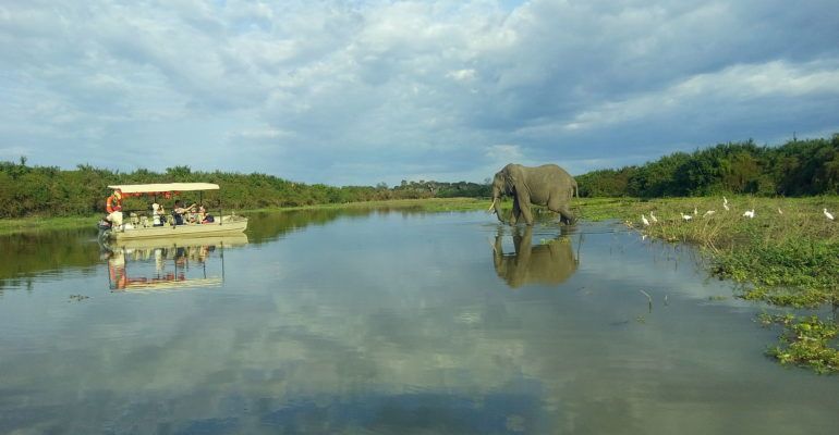 Lake Manze Camp image #31